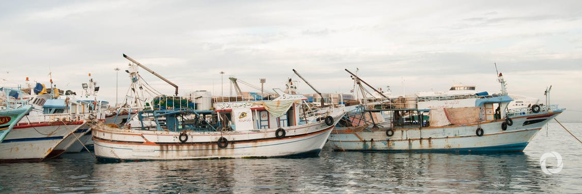 FAO chief hails international treaty combating illegal, unreported and unregulated fishing FAO chief hails international treaty combating illegal, unreported and unregulated fishing