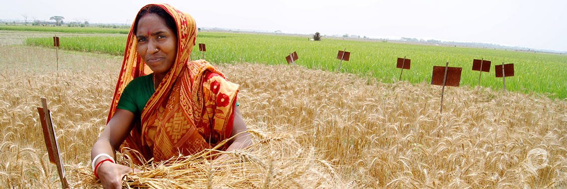 Government of Bangladesh and WFP working together to lift rural women out of extreme poverty Government of Bangladesh and WFP working together to lift rural women out of extreme poverty