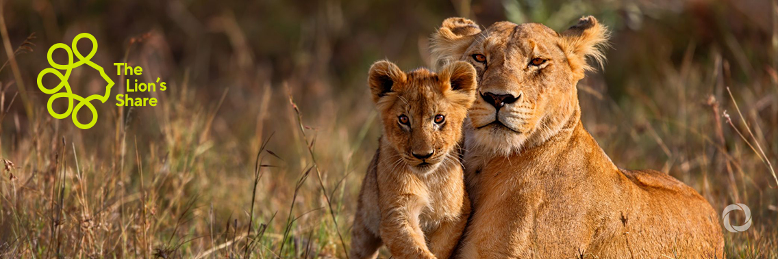 The Lion's Share - for the conservation of hope The Lion's Share - for the conservation of hope