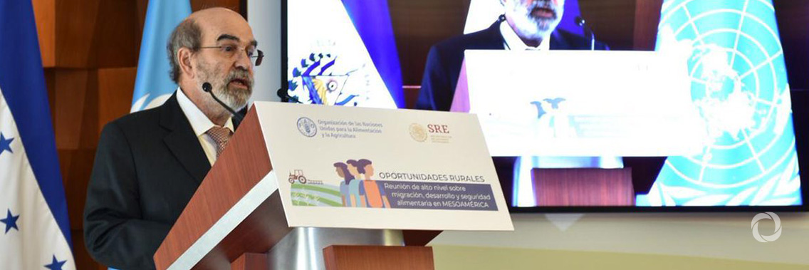 FAO Director-General in Mexico: "Migration must be optional and safe"