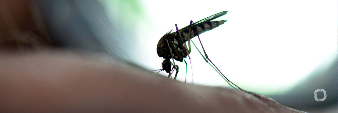 CABEI grants US$250,000.00 to Honduras to attend national dengue emergency CABEI grants US$250,000.00 to Honduras to attend national dengue emergency