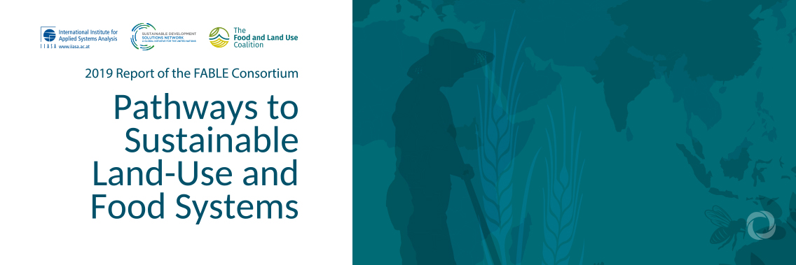 Launch of 2019 report of the FABLE Consortium Launch of 2019 report of the FABLE Consortium