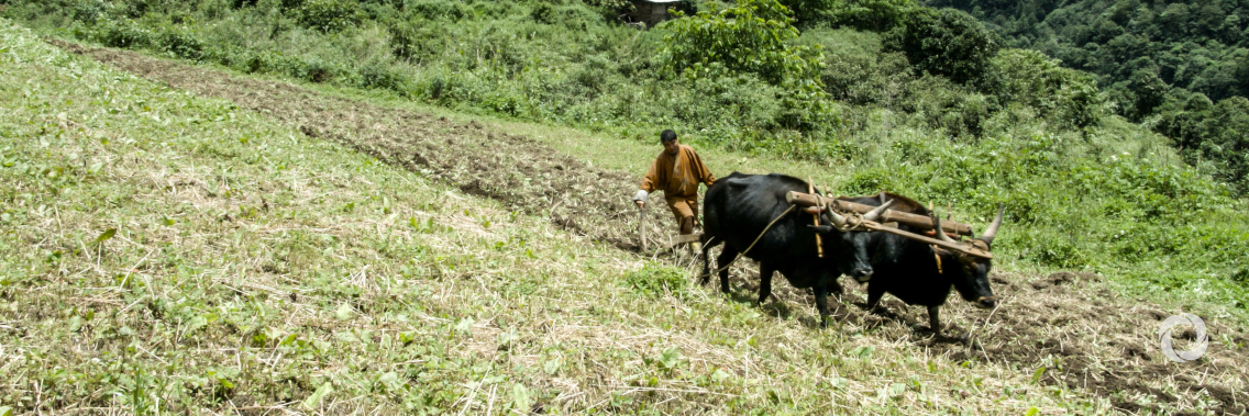 UNDP supported countries to receive $84.9m for climate action from the Green Climate Fund