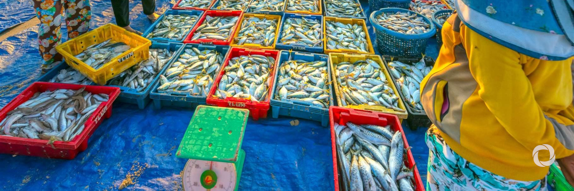 Indonesia, Switzerland and UNIDO collaborate to make Indonesian seafood more competitive