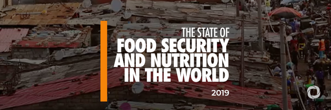 The State Of Food Security And Nutrition In The World 2024 – RVPZ