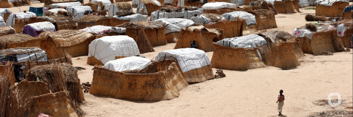 North-east Nigeria: crisis shows no sign of abating