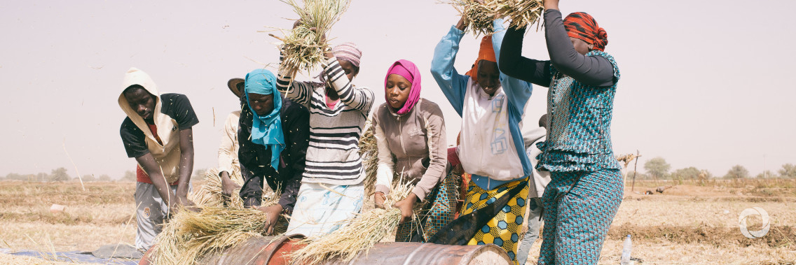 No stability in the Sahel without rural development and job creation for young people, says IFAD President ahead of G7