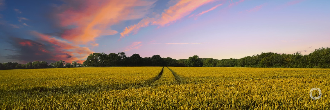 Nature can still heal itself, if we give it the urgent attention it needs Nature can still heal itself, if we give it the urgent attention it needs