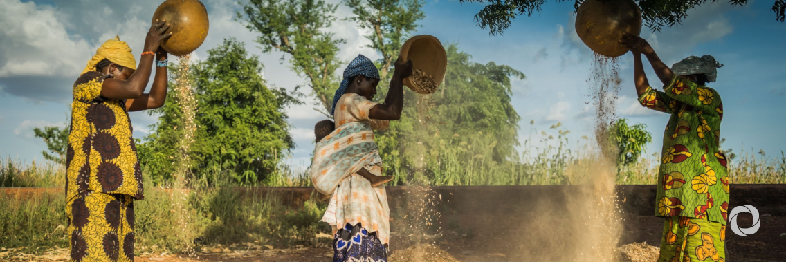 Greater resilience needed for African food security in the face of climate change Greater resilience needed for African food security in the face of climate change