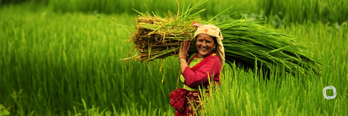 Livelihood supports in climate resilient building Livelihood supports in climate resilient building