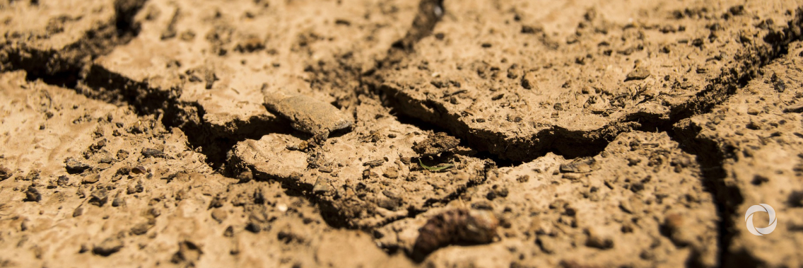 UN boosts humanitarian appeal to help tackle Zimbabwe’s ‘worst-ever’ hunger crisis UN boosts humanitarian appeal to help tackle Zimbabwe’s ‘worst-ever’ hunger crisis