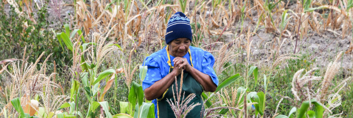Germany contributes €1 million to support families in the dry corridor of Honduras Germany contributes €1 million to support families in the dry corridor of Honduras