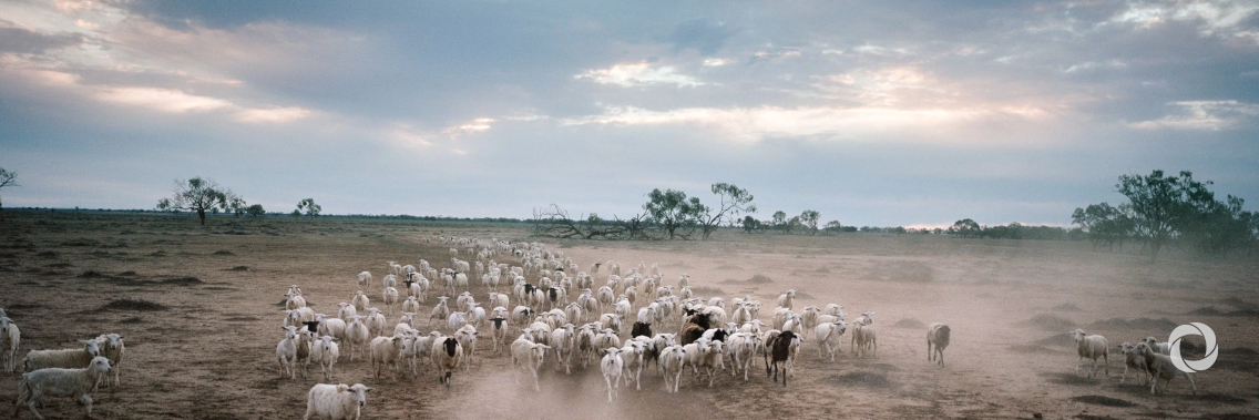 Drought in Europe: Member States agree on support measures proposed by the Commission