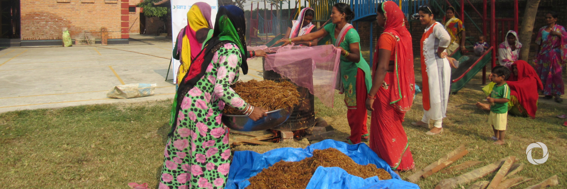 24 green entrepreneurships supported in Nepal 24 green entrepreneurships supported in Nepal
