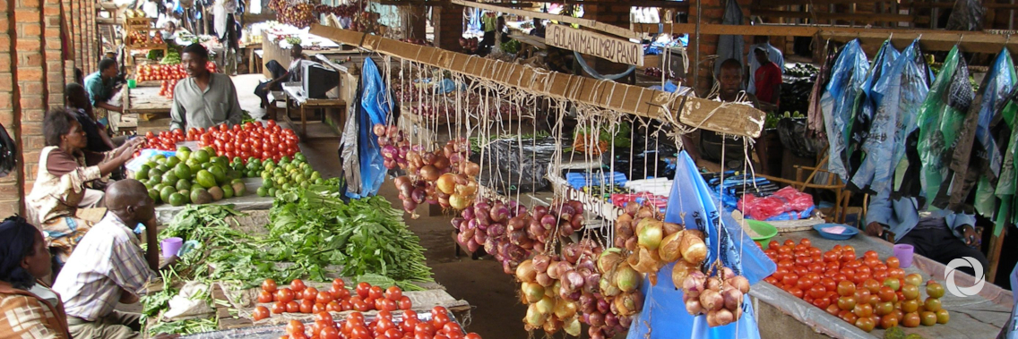 African countries can benefit more from Japan’s knowledge and culture of healthy foods and diets African countries can benefit more from Japan’s knowledge and culture of healthy foods and diets