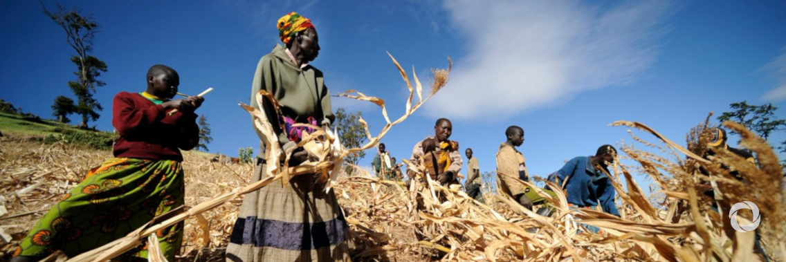 UNDP to promote dynamic partnerships at TICAD7 to advance sustainable development in Africa