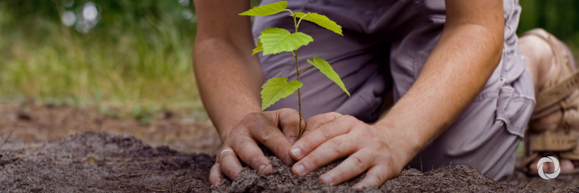 Ethiopia IOM participates in planting of world record-breaking 353 million trees in one day Ethiopia IOM participates in planting of world record-breaking 353 million trees in one day