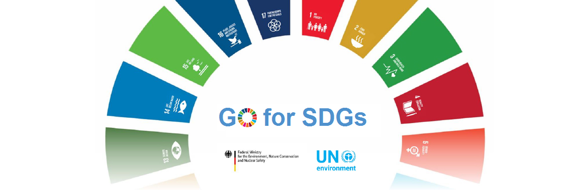 UNEP and German Ministry for Environment launch GO for SDGs to accelerate and scale the green economy transition
