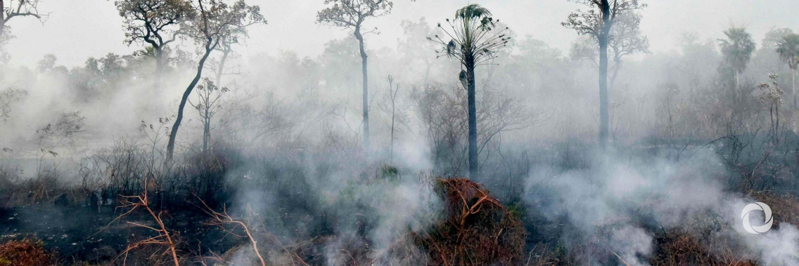 CAF offers immediate aid to help fight Amazon and Pantanal fires in Bolivia, Brazil and Paraguay CAF offers immediate aid to help fight Amazon and Pantanal fires in Bolivia, Brazil and Paraguay