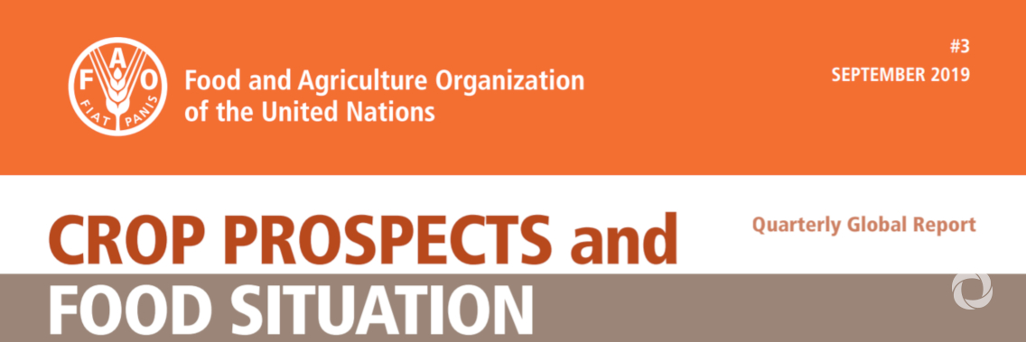 FAO report cites 41 countries needing external assistance for food FAO report cites 41 countries needing external assistance for food