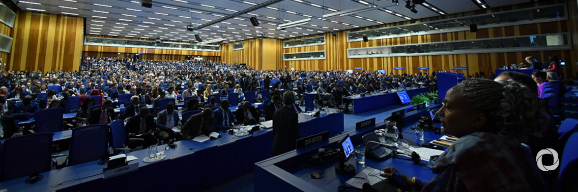 Unique IAEA nuclear science and technology services highlighted at 63rd General Conference Unique IAEA nuclear science and technology services highlighted at 63rd General Conference
