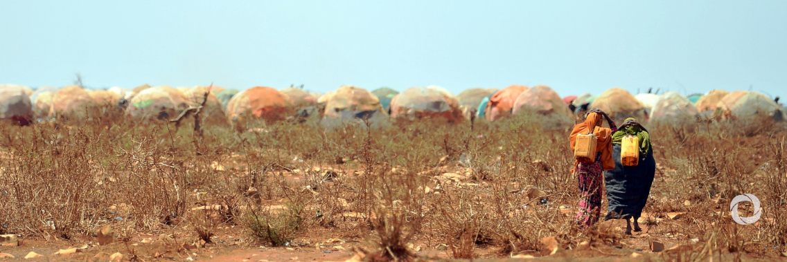 Somalia: worst harvest since 2011, with more than 2 million expected to go hungry