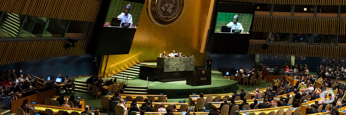 New General Assembly President brings ‘valuable insights’ into key UN challenges New General Assembly President brings ‘valuable insights’ into key UN challenges