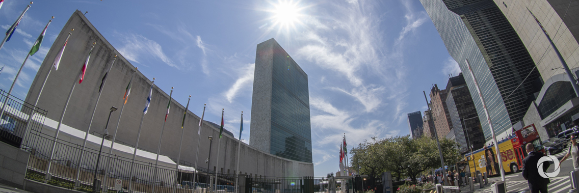 UN General Assembly - look back at some environmental highlights