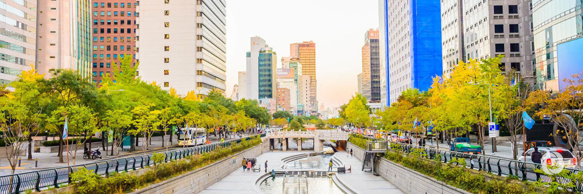 Cities: a 'cause of and solution to' climate change