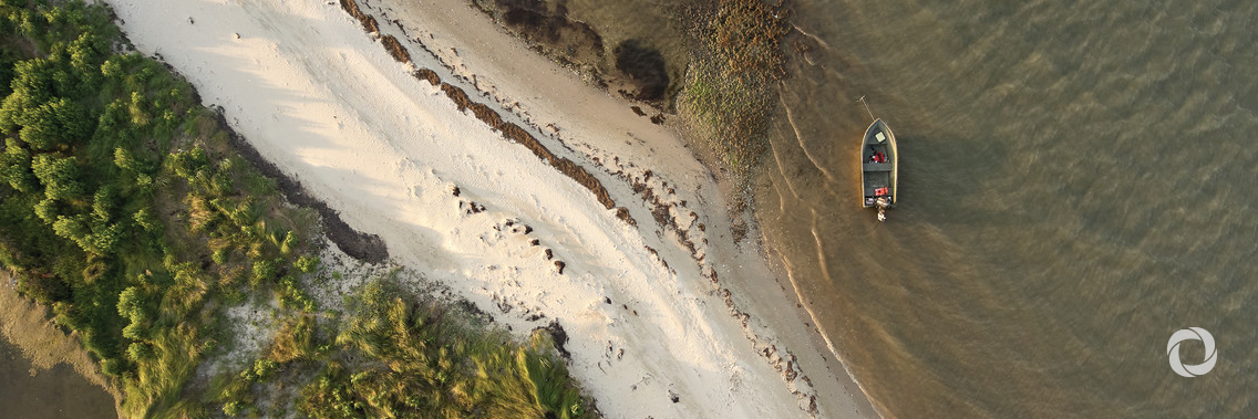 Nature ‘one of most effective ways’ of combating climate change