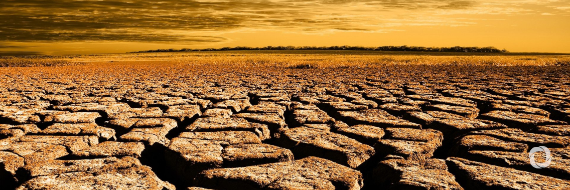 Restore land to save the planet, boost the economy, says head of UN body combating desertification