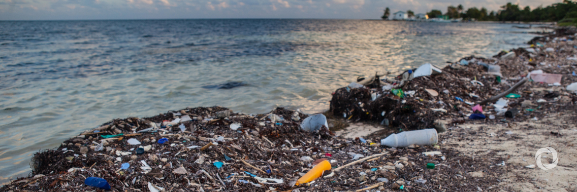 Throwaway lifestyles – the global waste crisis and its impact