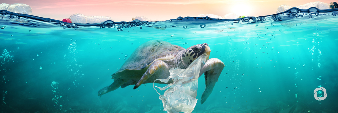 Voice for the planet: Nature's emergency