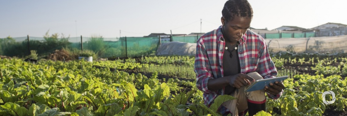 UNIDO-FAO to promote green opportunities to accelerate youth employment in Africa’s agricultural sector UNIDO-FAO to promote green opportunities to accelerate youth employment in Africa’s agricultural sector