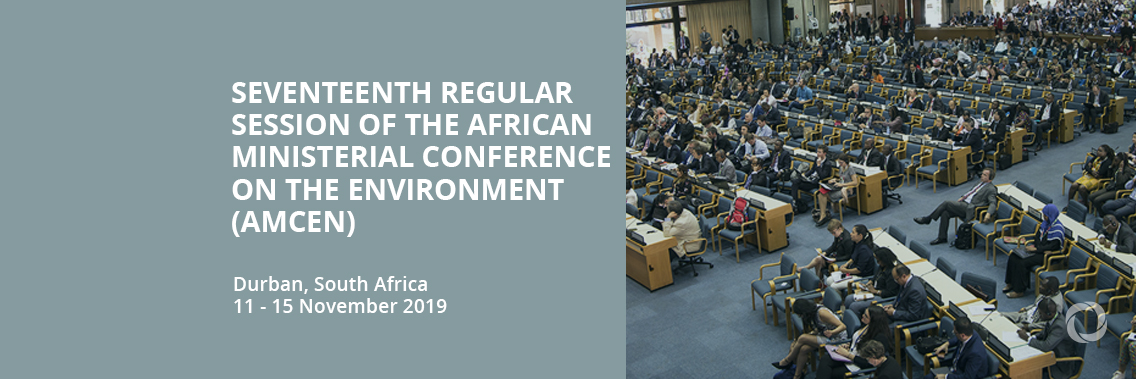 Seventeenth Regular Session of the African Ministerial Conference on the Environment (AMCEN)