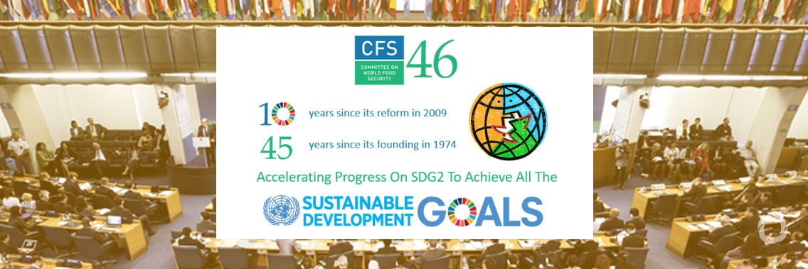 Committee on World Food Security – CFS 46 Committee on World Food Security – CFS 46