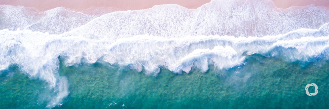 The Clean Oceans Initiative: supporting projects that preserve the oceans The Clean Oceans Initiative: supporting projects that preserve the oceans