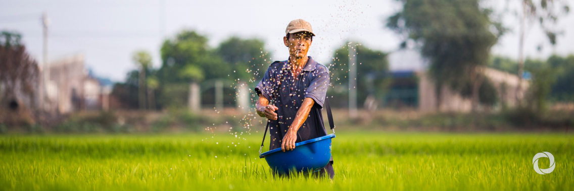 UN commits to help Pacific island agriculture adapt and survive climate crisis UN commits to help Pacific island agriculture adapt and survive climate crisis