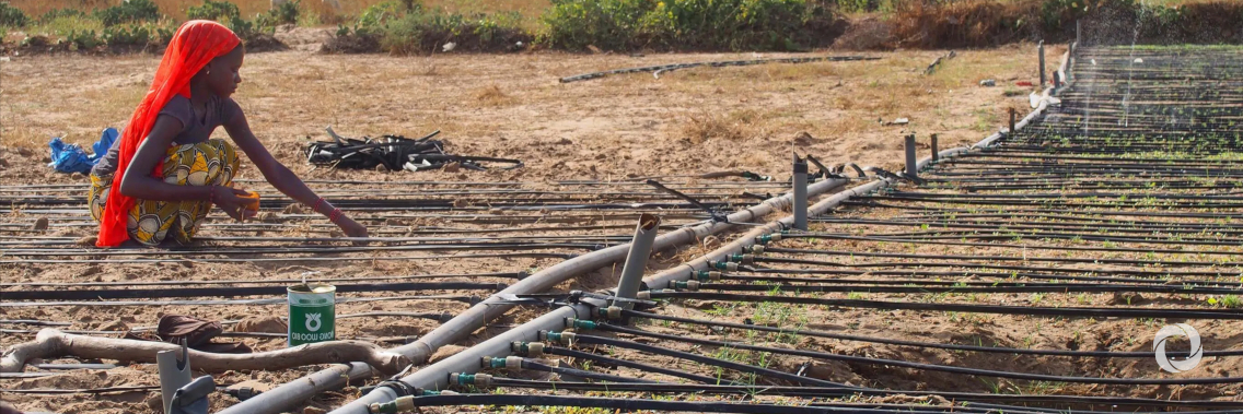 USAID announces $35 million for the water and energy for food challenge USAID announces $35 million for the water and energy for food challenge