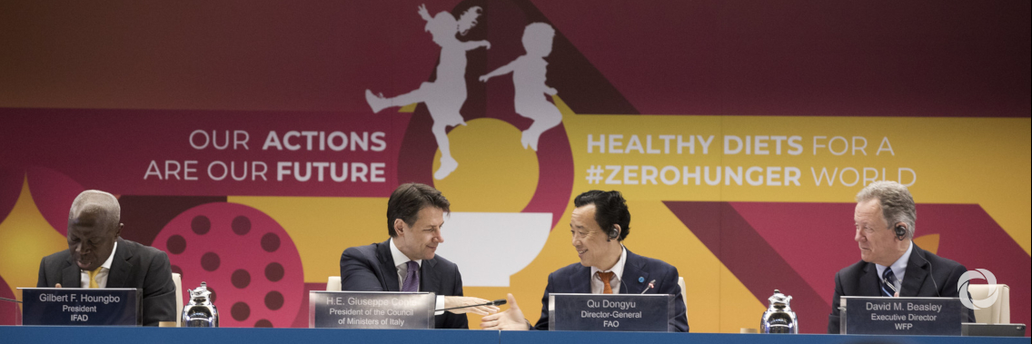 World Food Day sees call for bolder action to make healthy and sustainable diets available to all World Food Day sees call for bolder action to make healthy and sustainable diets available to all