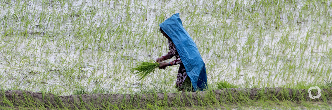 GCF forum explores how to stem climate impact on world food security GCF forum explores how to stem climate impact on world food security