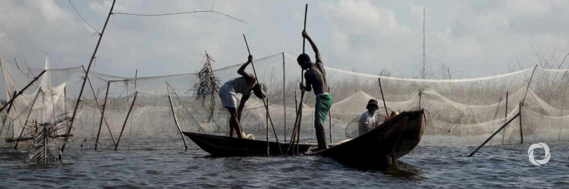 Associate Writer | Tragedy of