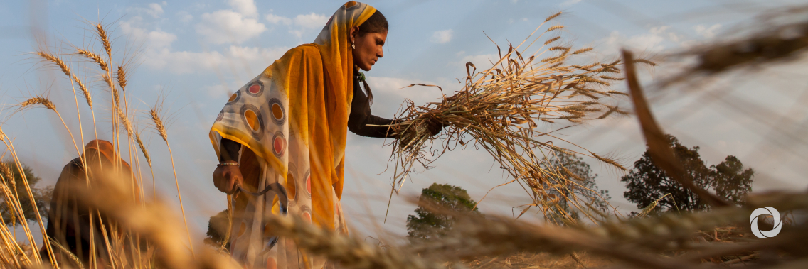 New World Bank project to support climate resilient agriculture for 125,000 smallholder farmers in Odisha, India New World Bank project to support climate resilient agriculture for 125,000 smallholder farmers in Odisha, India