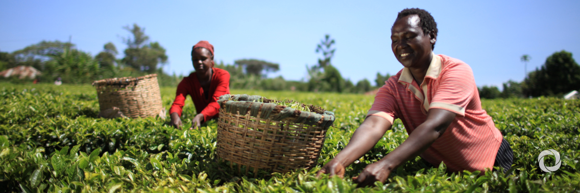 Eswatini and IFAD partner to boost inclusive financial services for smallholder farmers Eswatini and IFAD partner to boost inclusive financial services for smallholder farmers