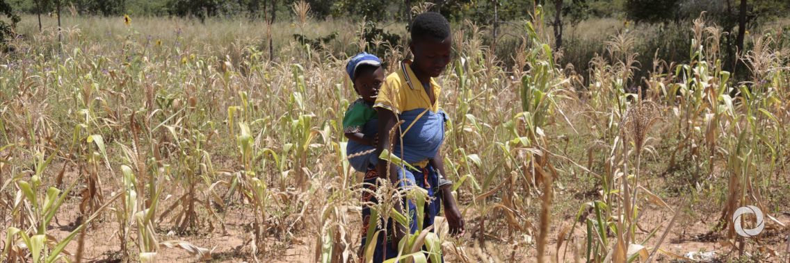 EU to step up its support to Zimbabwe with a new package of €53 million EU to step up its support to Zimbabwe with a new package of €53 million