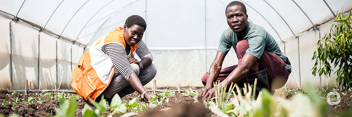 Associate Writer | How to Tran