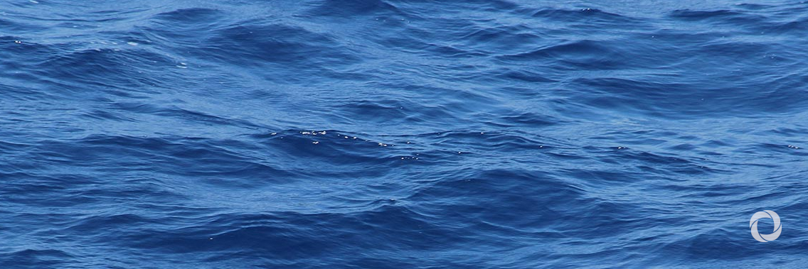 WMO tells Budapest Water Summit: Data matters WMO tells Budapest Water Summit: Data matters