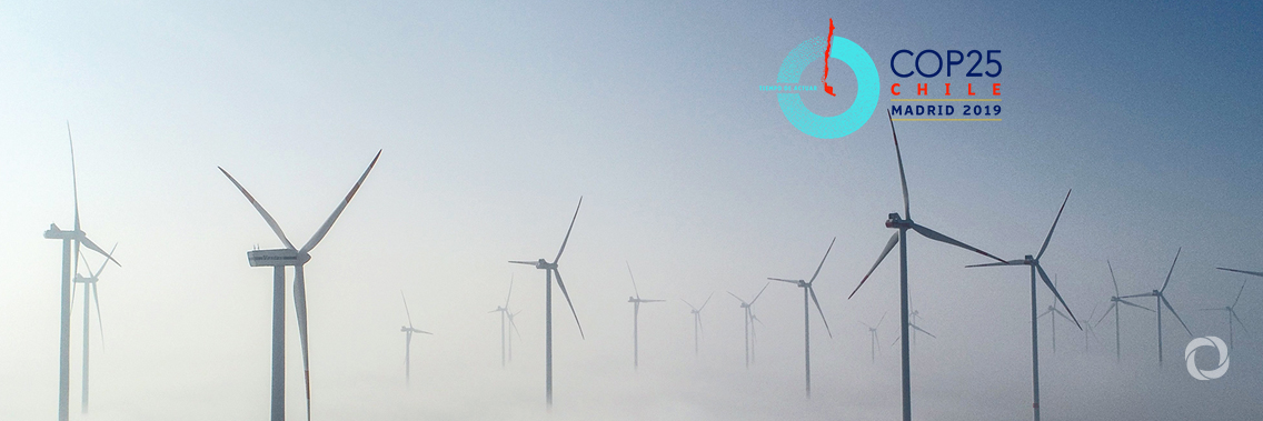 COP25: UN climate change conference, 4 things you need to know COP25: UN climate change conference, 4 things you need to know