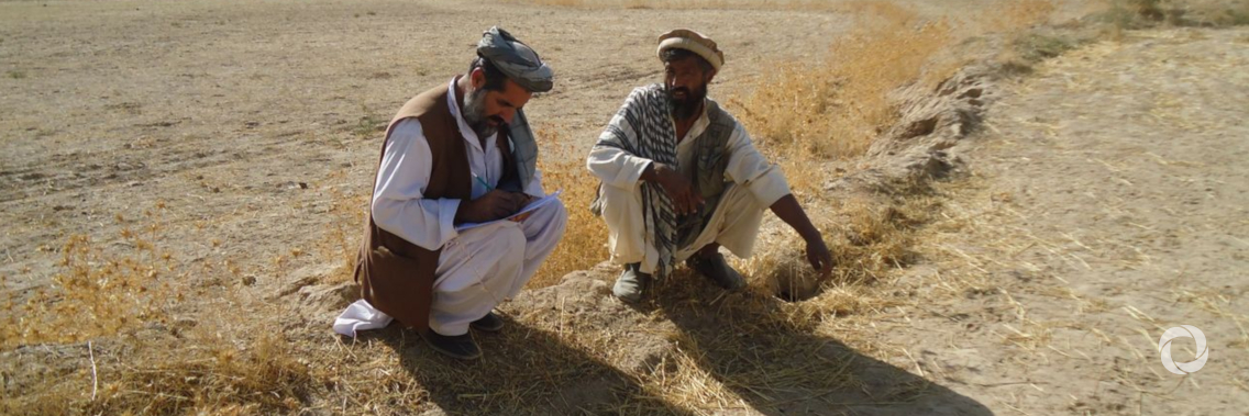 Vulnerable farming families to receive livelihoods assistance via a new FAO-led project funded by the Afghanistan Humanitarian Fund Vulnerable farming families to receive livelihoods assistance via a new FAO-led project funded by the Afghanistan Humanitarian Fund