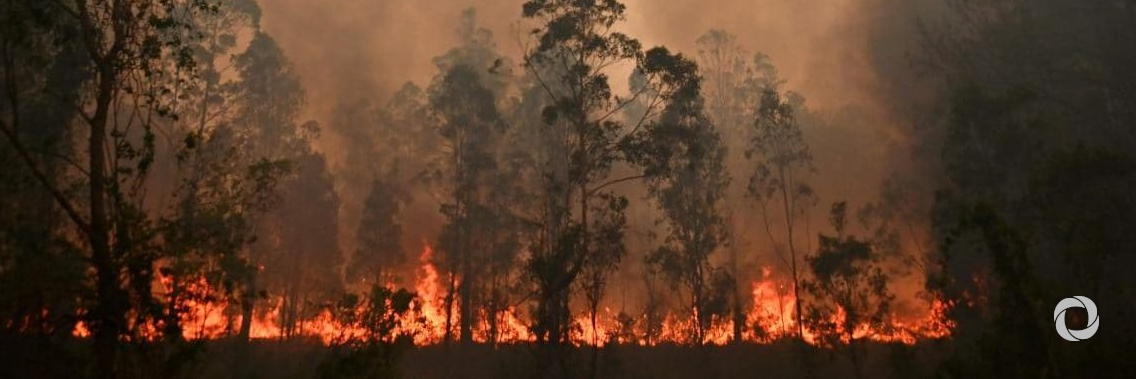 Australia wildfires: communities must stay vigilant, urges UN weather agency Australia wildfires: communities must stay vigilant, urges UN weather agency